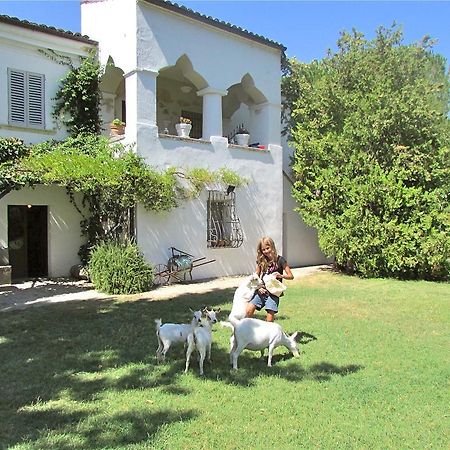 Agriturismo "Borgo Madonna Degli Angeli" - Charming Cottages In The Gardens ! Tocco da Casauria Luaran gambar