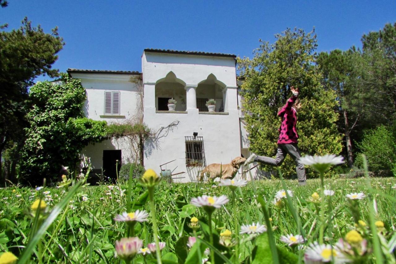 Agriturismo "Borgo Madonna Degli Angeli" - Charming Cottages In The Gardens ! Tocco da Casauria Luaran gambar