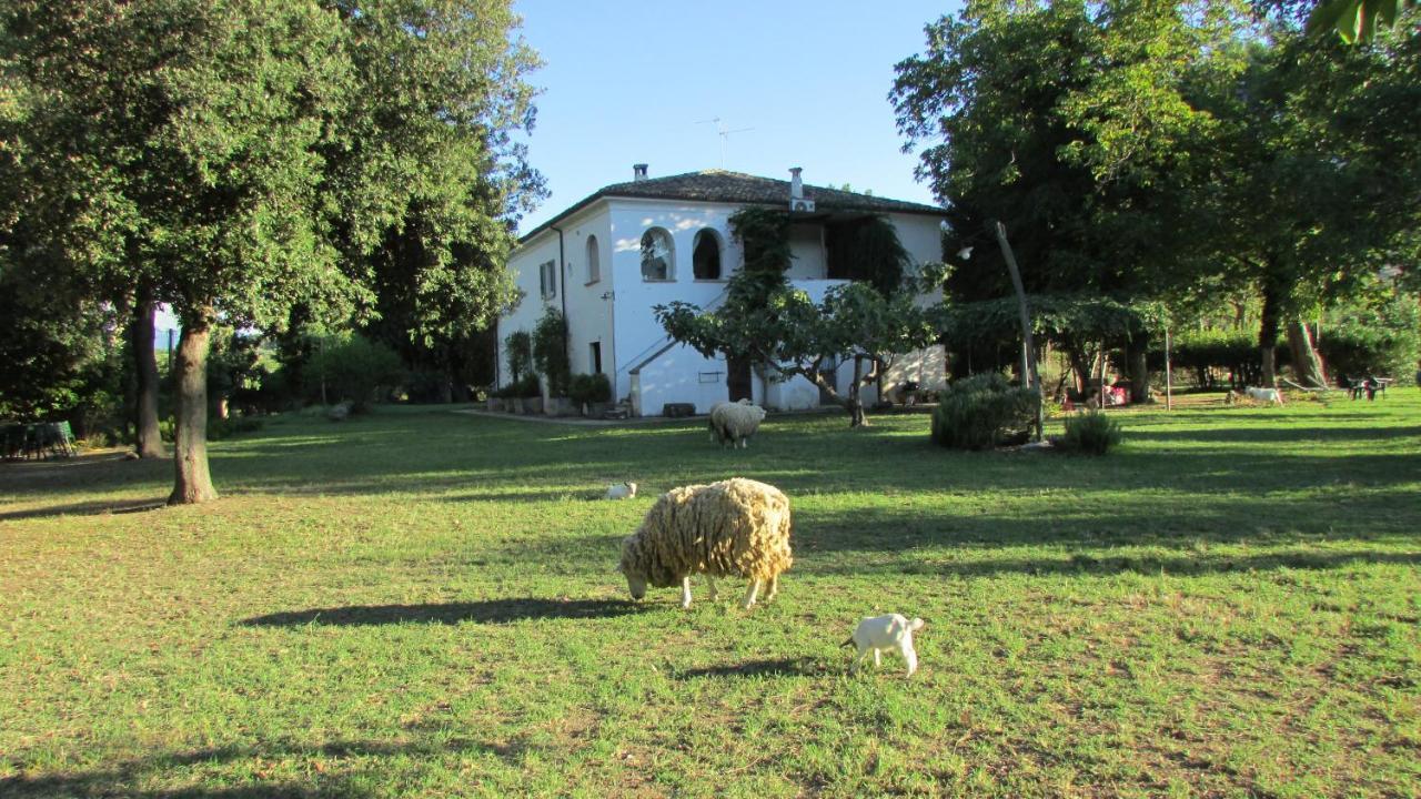 Agriturismo "Borgo Madonna Degli Angeli" - Charming Cottages In The Gardens ! Tocco da Casauria Luaran gambar