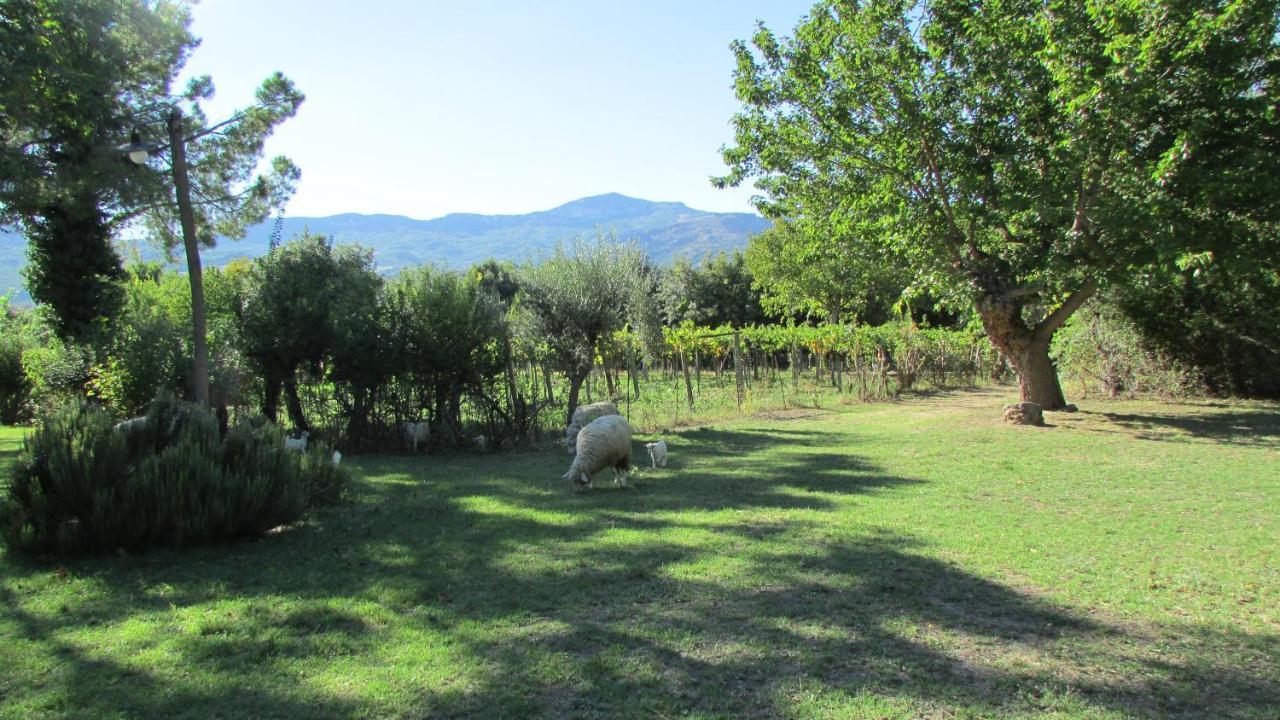 Agriturismo "Borgo Madonna Degli Angeli" - Charming Cottages In The Gardens ! Tocco da Casauria Luaran gambar