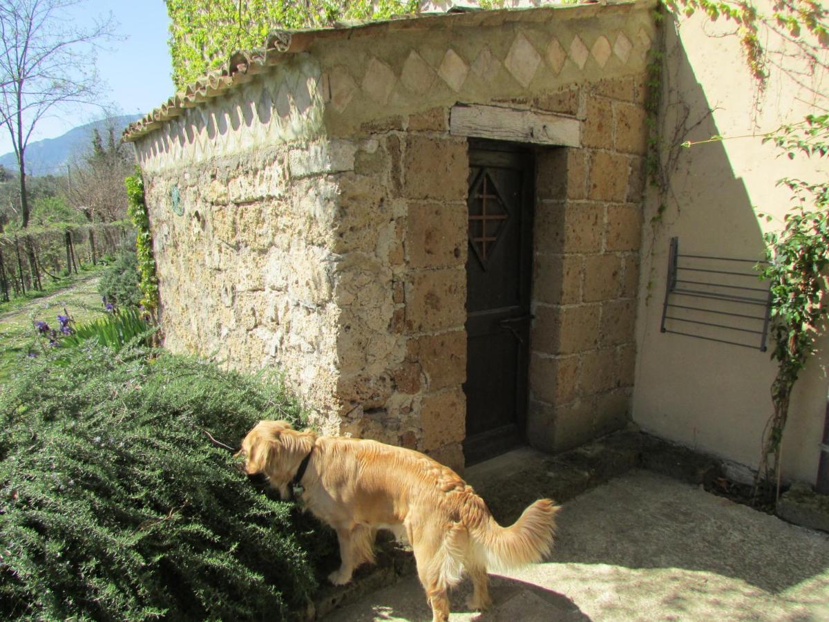 Agriturismo "Borgo Madonna Degli Angeli" - Charming Cottages In The Gardens ! Tocco da Casauria Luaran gambar