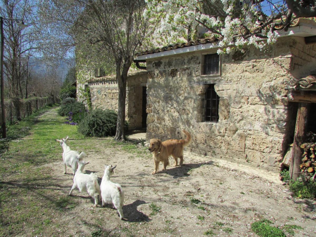 Agriturismo "Borgo Madonna Degli Angeli" - Charming Cottages In The Gardens ! Tocco da Casauria Luaran gambar