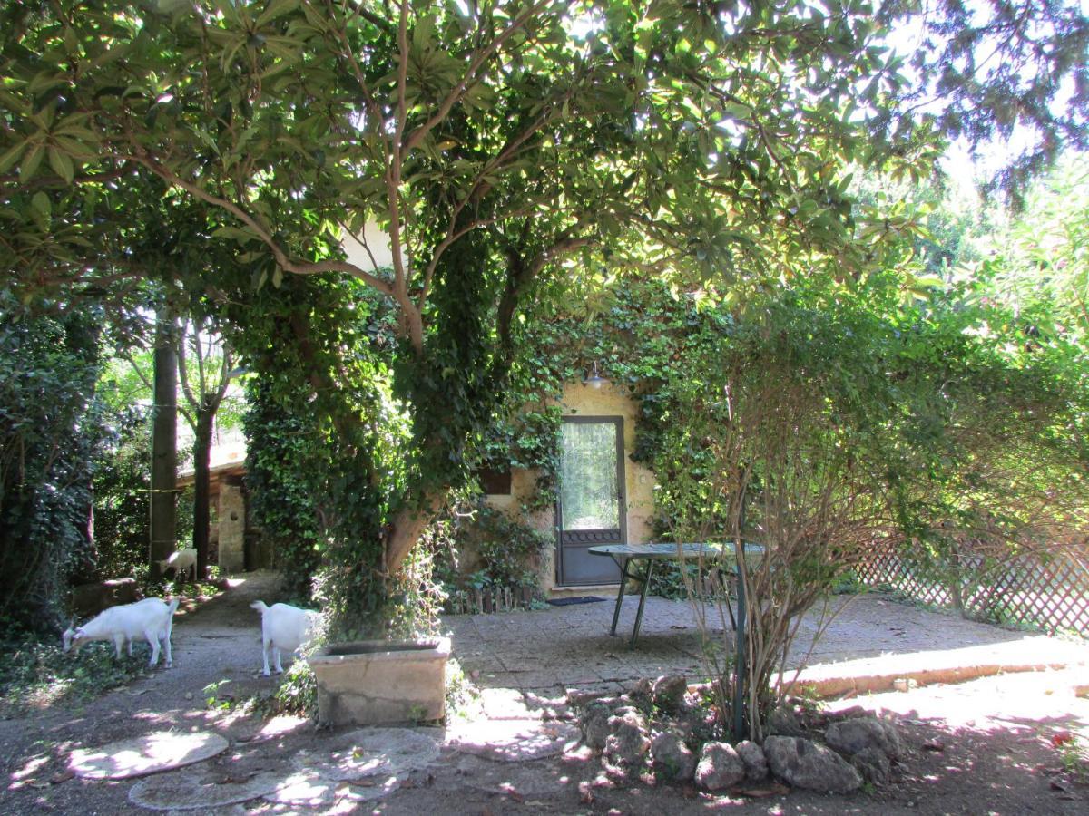 Agriturismo "Borgo Madonna Degli Angeli" - Charming Cottages In The Gardens ! Tocco da Casauria Luaran gambar