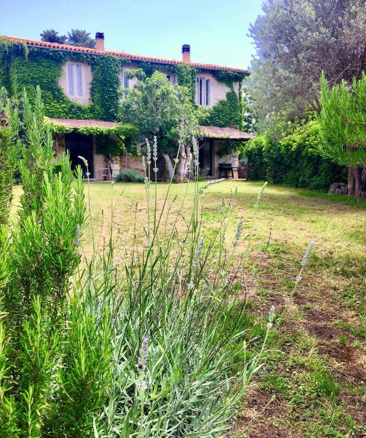 Agriturismo "Borgo Madonna Degli Angeli" - Charming Cottages In The Gardens ! Tocco da Casauria Luaran gambar