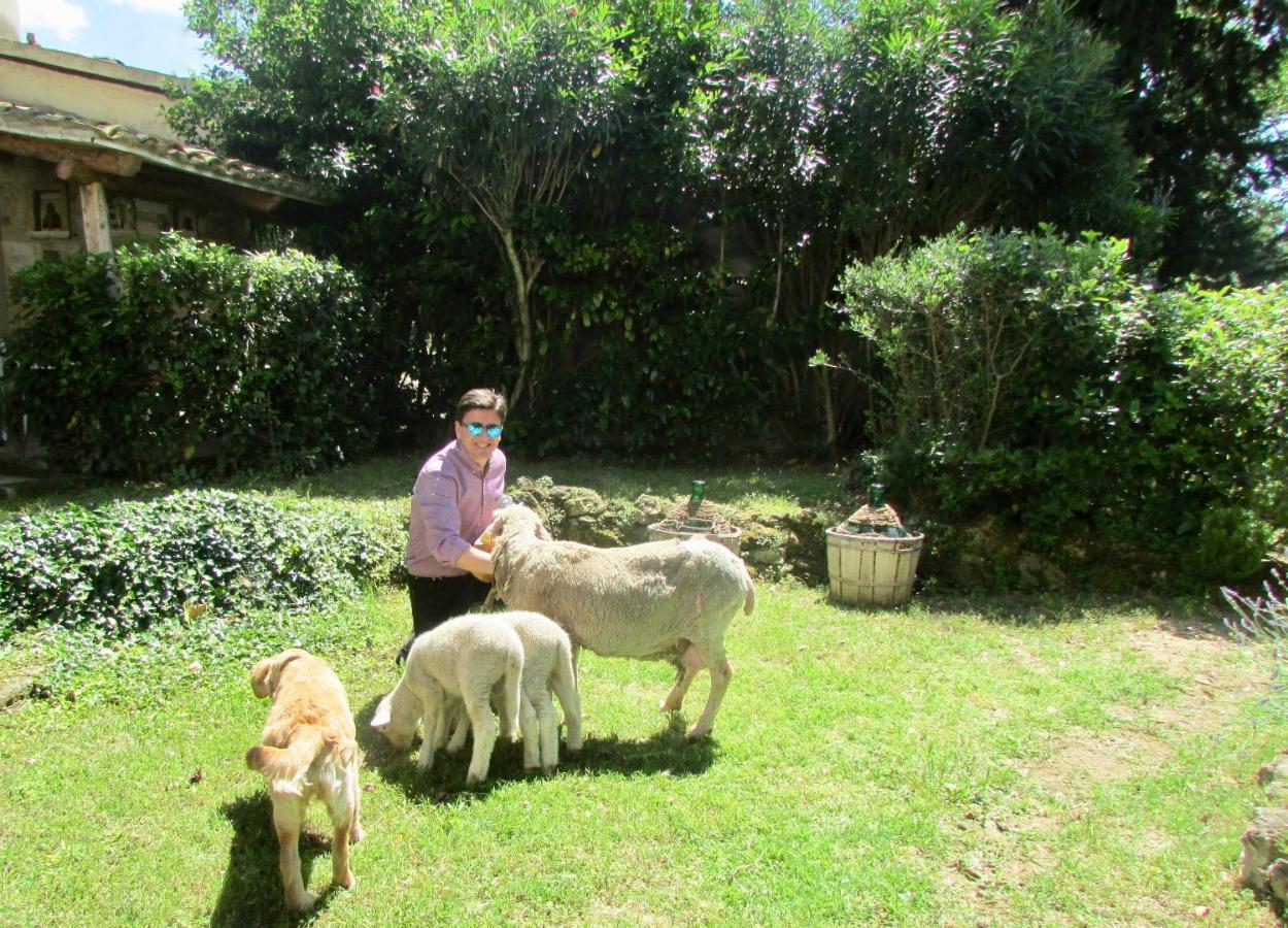 Agriturismo "Borgo Madonna Degli Angeli" - Charming Cottages In The Gardens ! Tocco da Casauria Luaran gambar