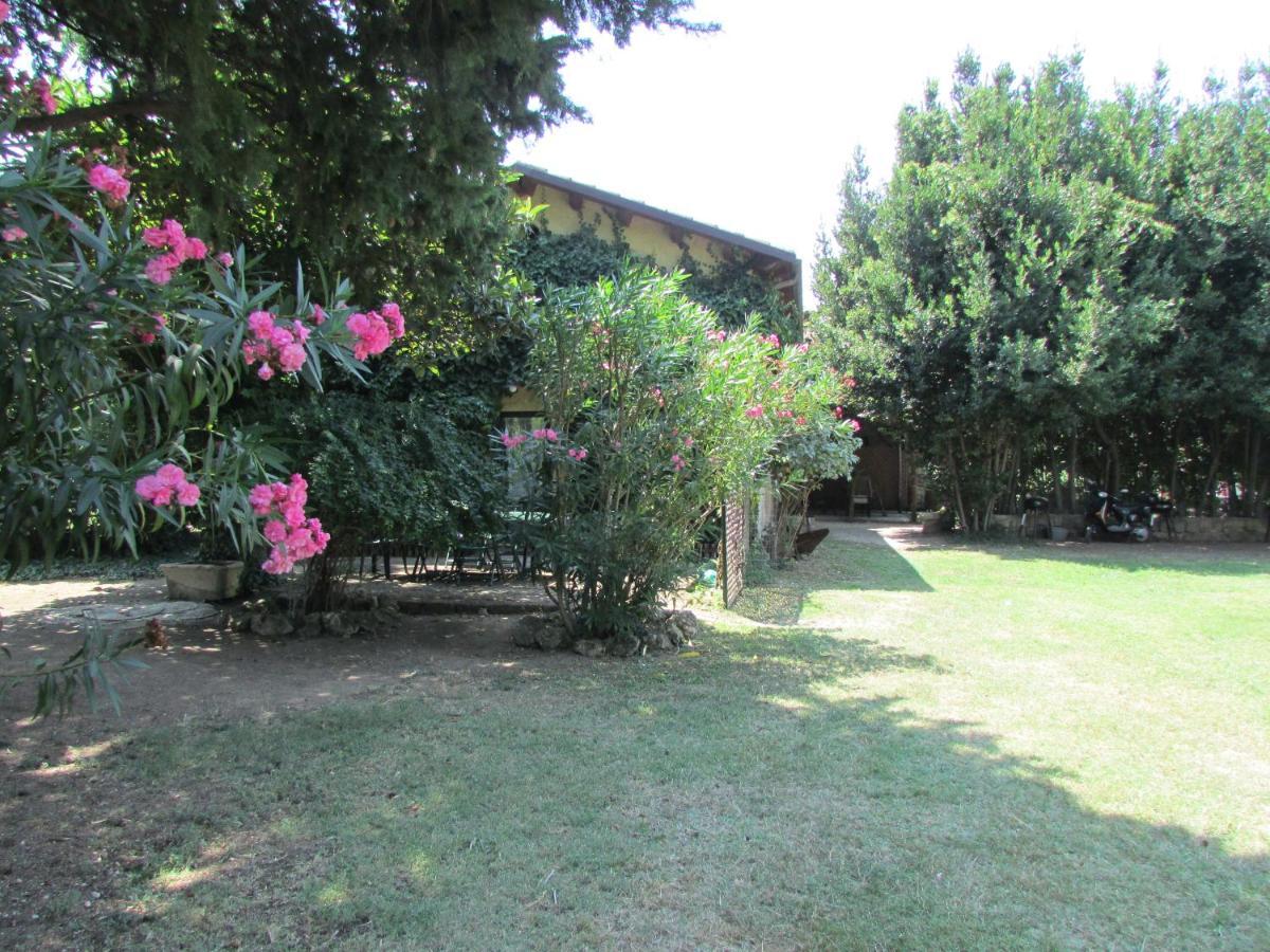Agriturismo "Borgo Madonna Degli Angeli" - Charming Cottages In The Gardens ! Tocco da Casauria Luaran gambar