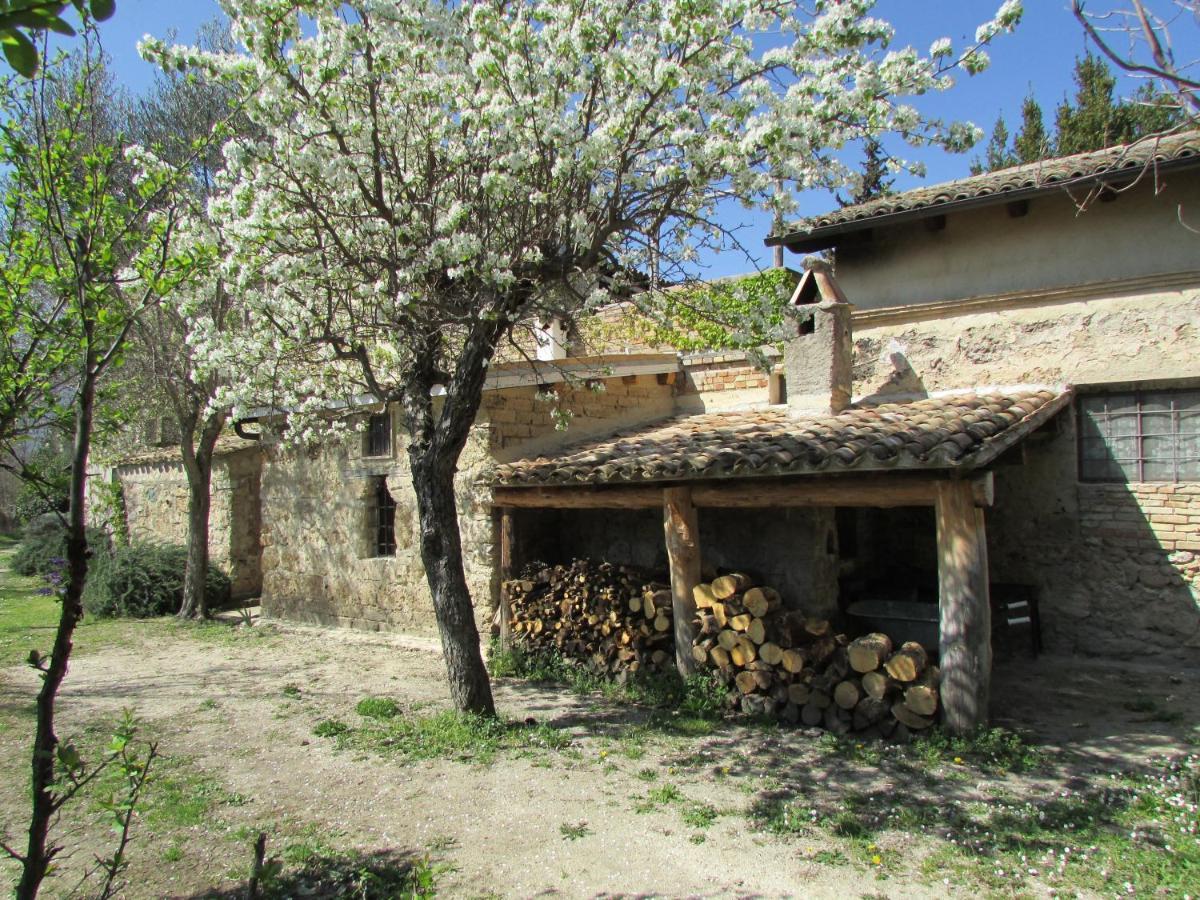 Agriturismo "Borgo Madonna Degli Angeli" - Charming Cottages In The Gardens ! Tocco da Casauria Luaran gambar