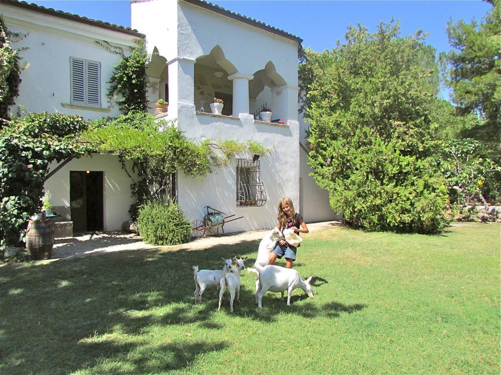 Agriturismo "Borgo Madonna Degli Angeli" - Charming Cottages In The Gardens ! Tocco da Casauria Luaran gambar