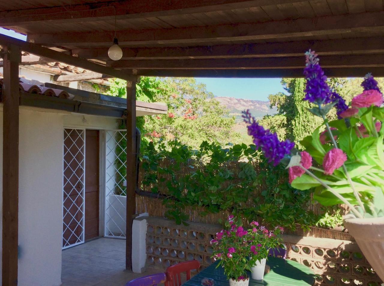 Agriturismo "Borgo Madonna Degli Angeli" - Charming Cottages In The Gardens ! Tocco da Casauria Luaran gambar